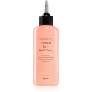 A'pieu Raspberry Vinegar Intense Concentrated Treatment For Damaged And Fragile Hair 165 ml