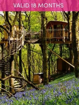 Activity Superstore Two Night Tree House Escape For Two