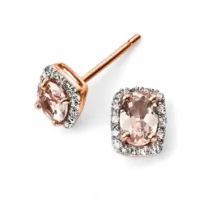 Elements 9ct Rose Gold Diamond And Morose Goldanite Earrings GE2026P
