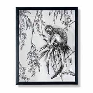 Art For The Home Saimiri Monkey 40 x 50 Card, MDF Frame