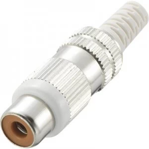 RCA connector Socket straight Number of pins 2 White Conrad Components