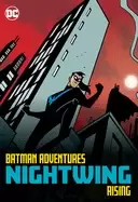 batman adventures nightwing rising