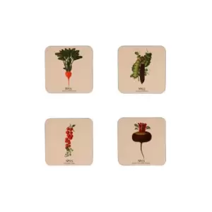 RHS Benary Vegetables Set of 4 Coasters