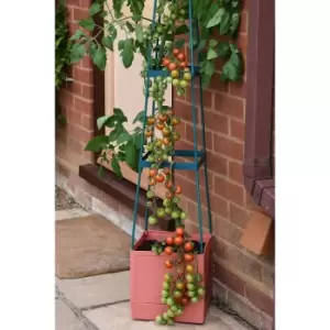 4 Tier Self Watering Tomato Tow