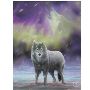 Small Aurora Canvas Picture by Anne Stokes