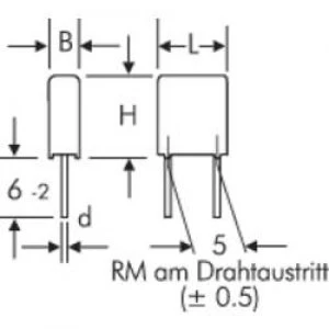 MKS thin film capacitor Radial lead 0.01 uF 63 Vdc 10 5mm L x W x H 7.2 x 2.5 x 6.5mm Wima MKS 2 001uF 10 63V R