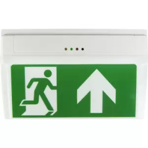 LED escape sign luminaire, E-LUX STANDARD wall/ceiling mounted, 3h LED AT, white