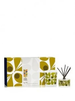 Orla Kiely House Acorn Cup Scented Candle And Reed Diffuser Set ; Fig Tree