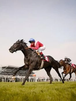 Virgin Experience Days Winning Horse Racing Day For Two In A Choice Of 16 Locations, Women