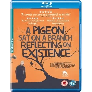 A Pigeon Sat On A Branch Reflecting Upon Existence Bluray