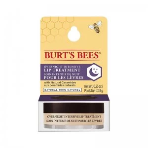 Burt's Bees Overnight Lip Treatment 7.08g