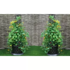 Thompson & Morgan Thompson and Morgan Tower Pot Collection - 2 pack