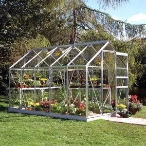 BQ Premier Metal 6x10 Horticultural glass greenhouse