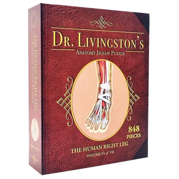 Dr Livingstons Anatomy Volume VI: The Human Right Leg Jigsaw Puzzle - 848 Pieces
