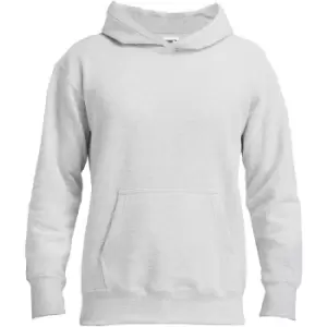 Gildan Adults Unisex Hammer Hooded Sweatshirt (M) (Ash)