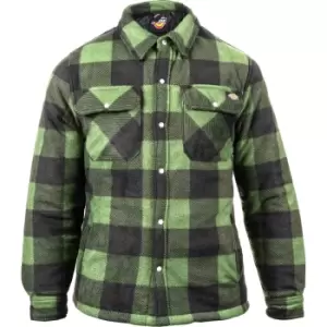 Dickies Portland Shirt Green L