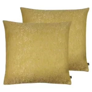Rion Twin Pack Polyester Filled Cushions