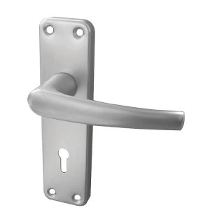 Jedo Budget Aluminum Rounded Door Handle on Backplate