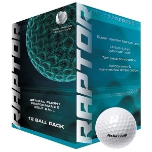 Masters Raptor Golf Balls (Box of 12) White