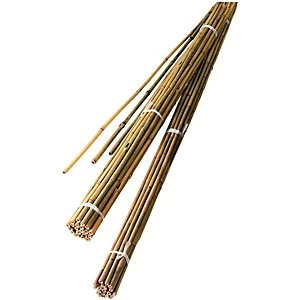 Wickes Bamboo Canes 1.8m - Pack of 10