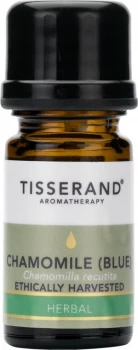 Tisserand Aromatherapy Chamomile (Blue) Ethically Harvested Pure Essential Oil 2ml