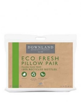 Downland Downland Eco Pillow Pair