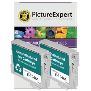 Picture Expert Epson Seahorse T0481 Black Ink Cartridge
