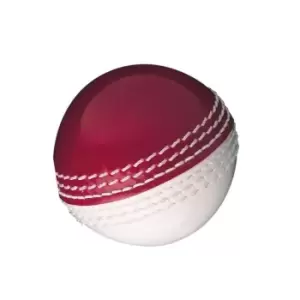 Gunn And Moore and Moore Skills Ball - Red