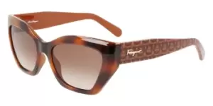 Salvatore Ferragamo Sunglasses SF 1043S 238