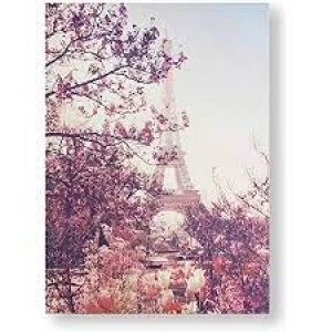 Art For The Home Paris In Bloom 50 x 70cm Cotton Canvas