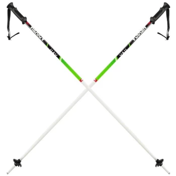 Nevica Vail Ski Poles Juniors - White/Green
