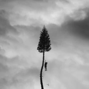 A Black Mile to the Surface by Manchester Orchestra CD Album