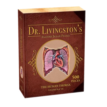 Dr Livingstons Anatomy Volume II: The Human Thorax Jigsaw Puzzle - 500 Pieces