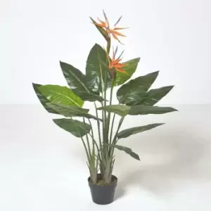 Bird of Paradise Plant in Pot, 120cm Tall - Green & Orange - Homescapes